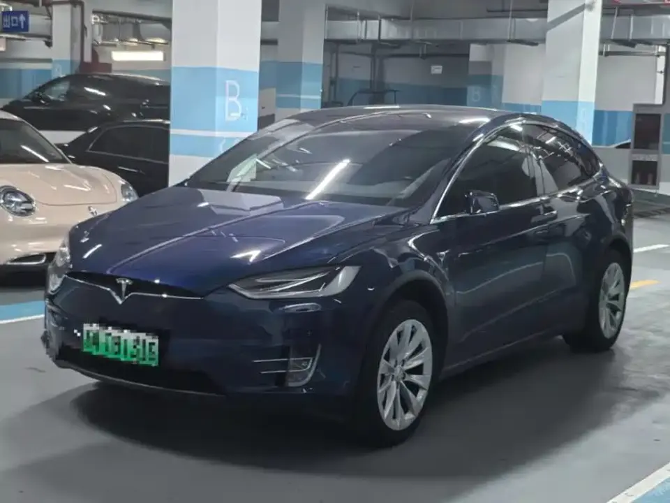 Tesla Model X Model X 100D Long Range 2019