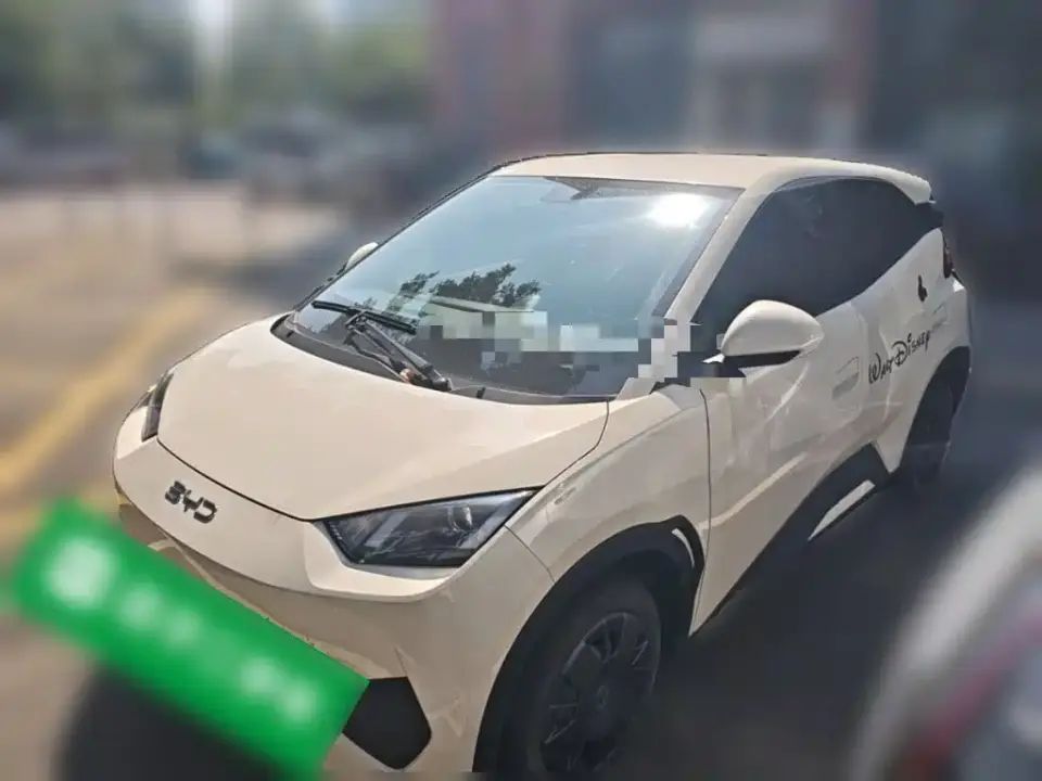 BYD Seagull Smart Drive Edition 305km Vitality Version 2025