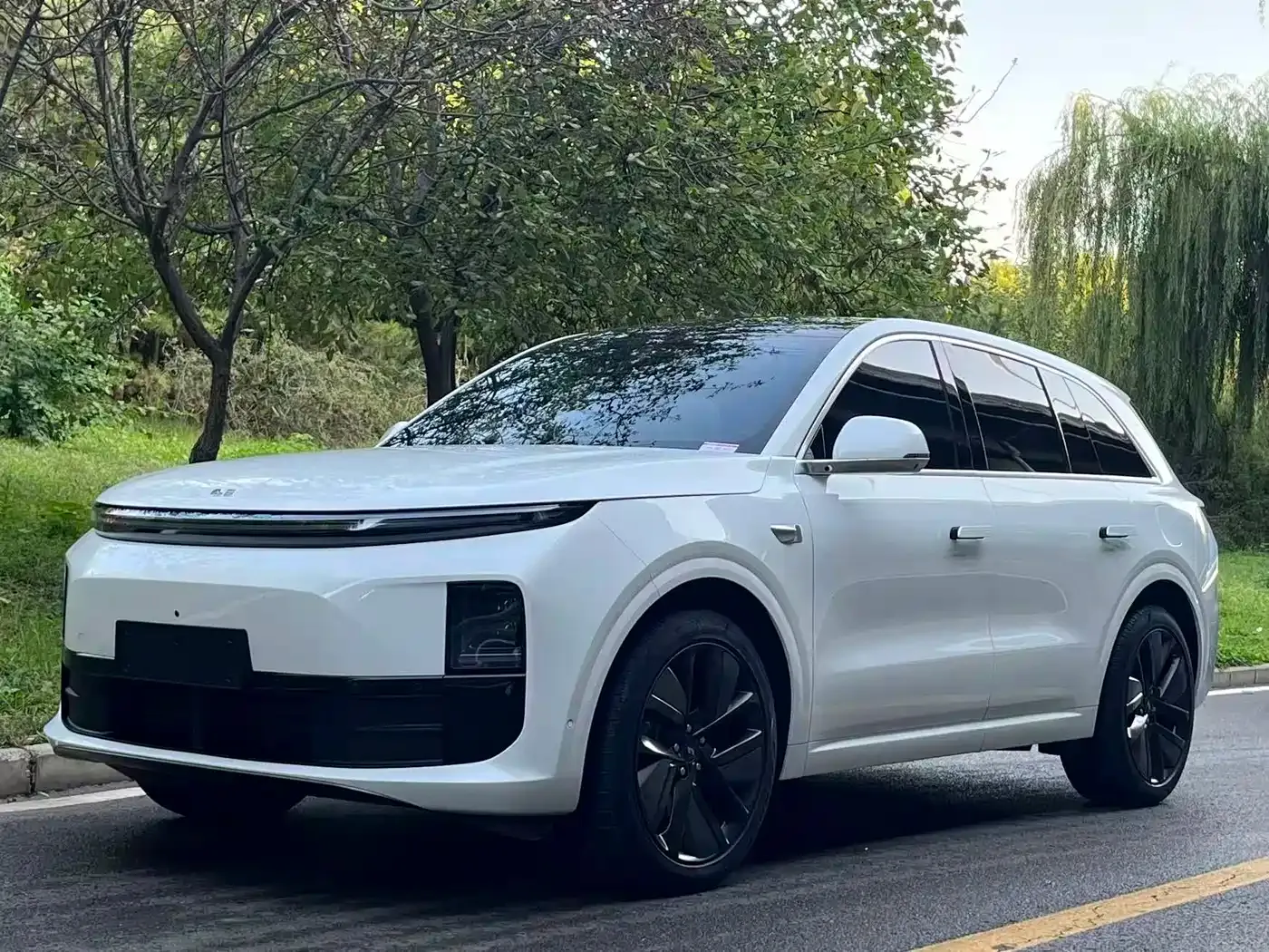 Li Auto L6 Pro 2025