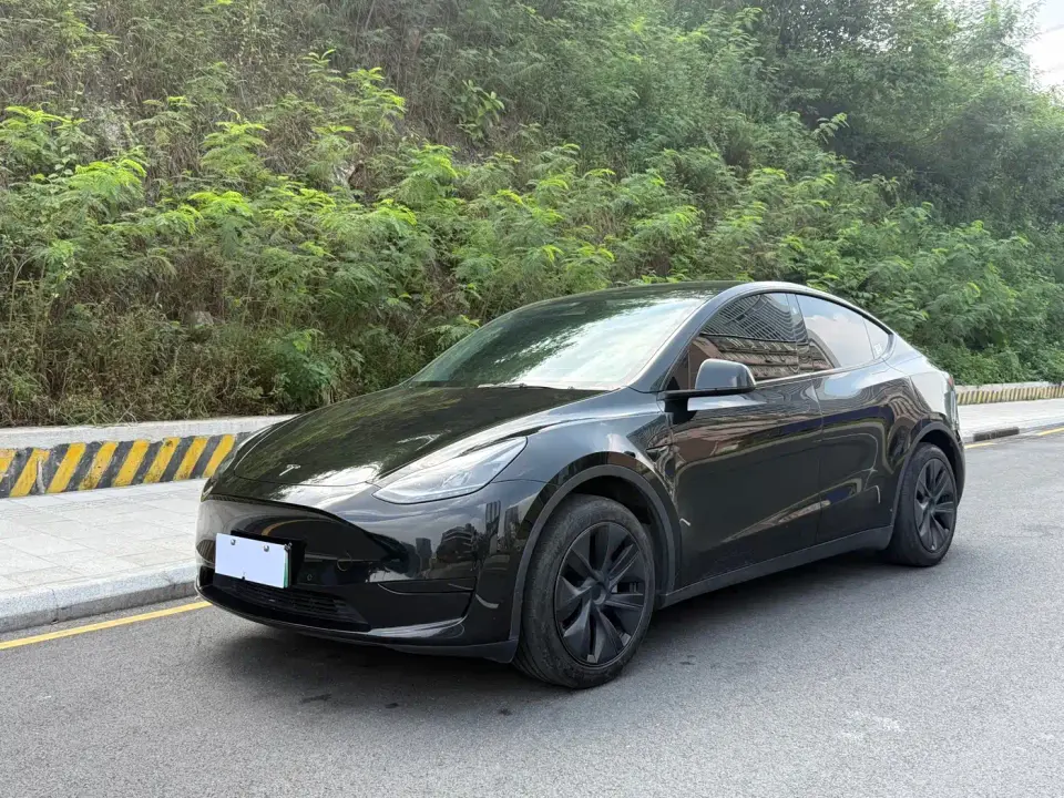 Tesla Model Y Rear-Wheel Drive Edition 2024