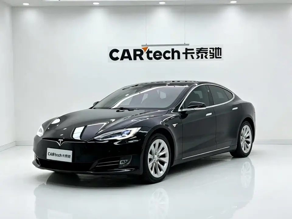 Tesla Model X Model X 100D Long Range 2019