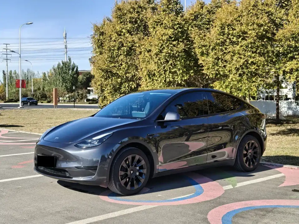 Tesla Model Y Rear-Wheel Drive Version 2024