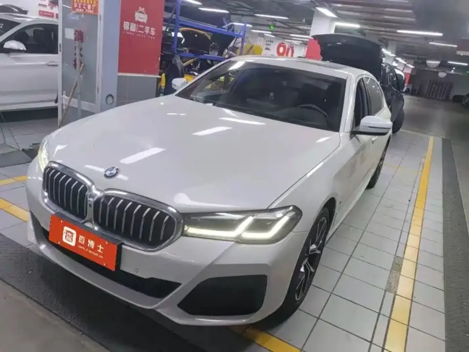 BMW 5 Series 530Li Executive M Sport Package 2021