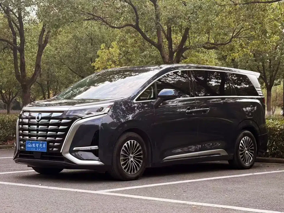 Denza D9 DM-i 980 AWD Flagship 2024