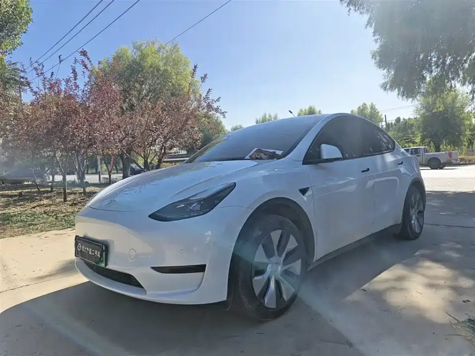 Tesla Model Y Rear-Wheel Drive Edition 2024