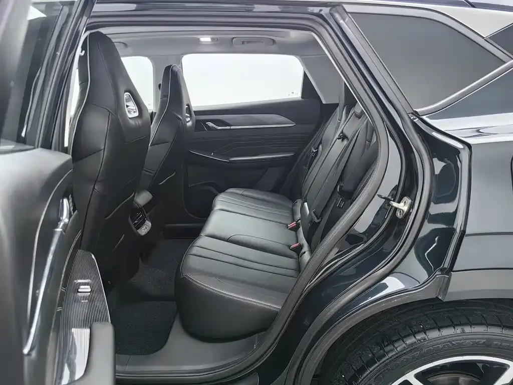 Dongfeng Aeolus Haohan DH-i 1.5T Premium Edition 2024 — фото 15