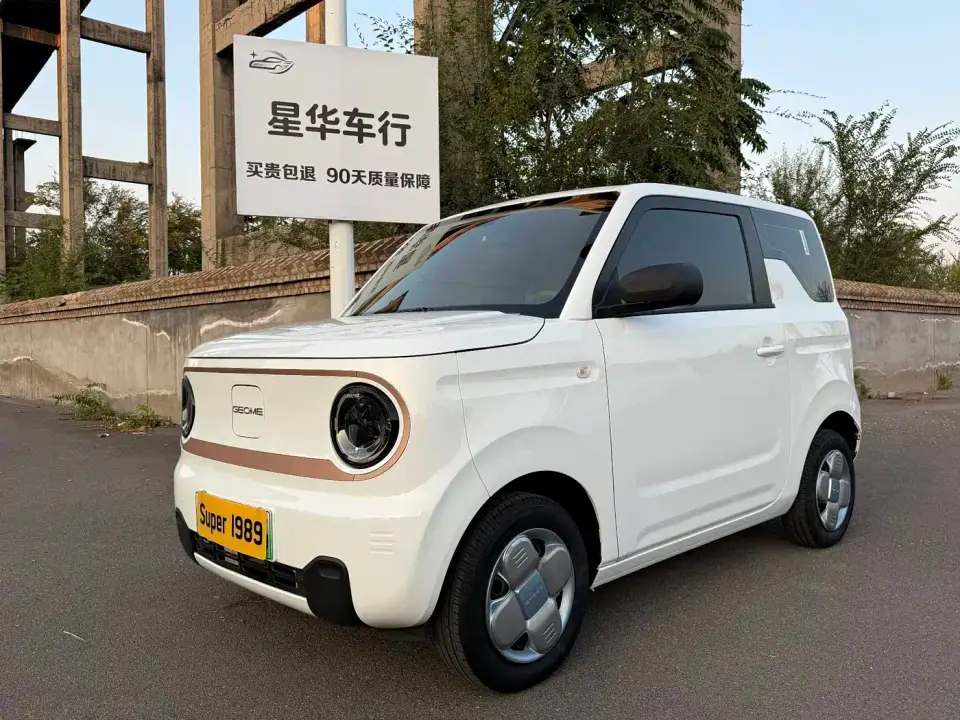 Geely Galaxy Panda Panda mini 200km Endurance Bear 2025