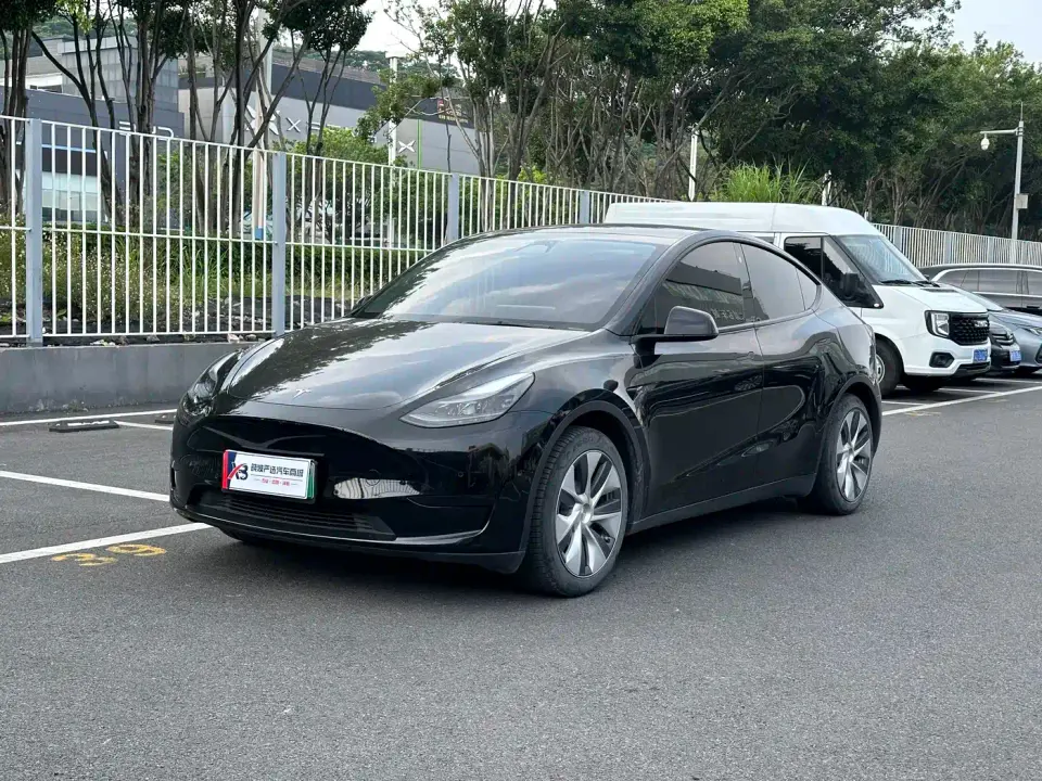Tesla Model Y Rear-Wheel Drive Version 2022