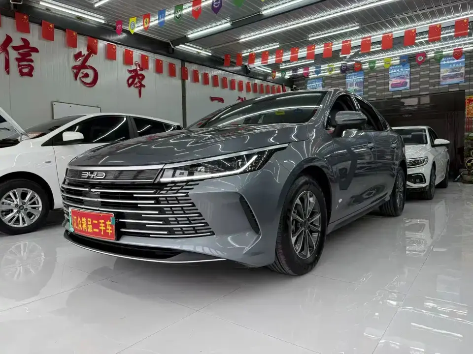 BYD Destroyer 05 Glory Edition DM-i 55KM Luxury 2024