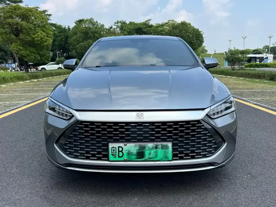 BYD Qin PLUS DM-i 55KM Flagship 2021