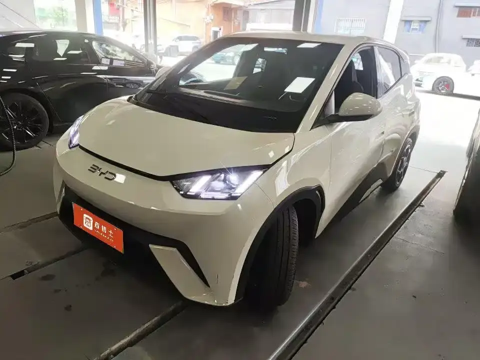 BYD Seagull Glory Edition 405km Soaring Edition 2025