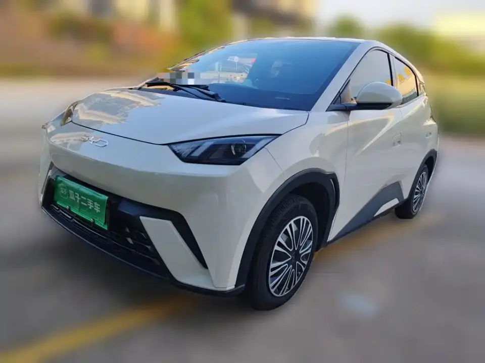 BYD Seagull Glory Edition 305km Vitality Edition 2024