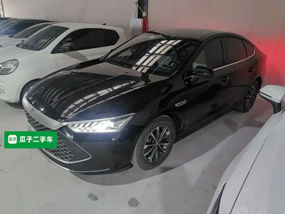 BYD Qin PLUS Champion Edition DM-i 55KM Leading 2023