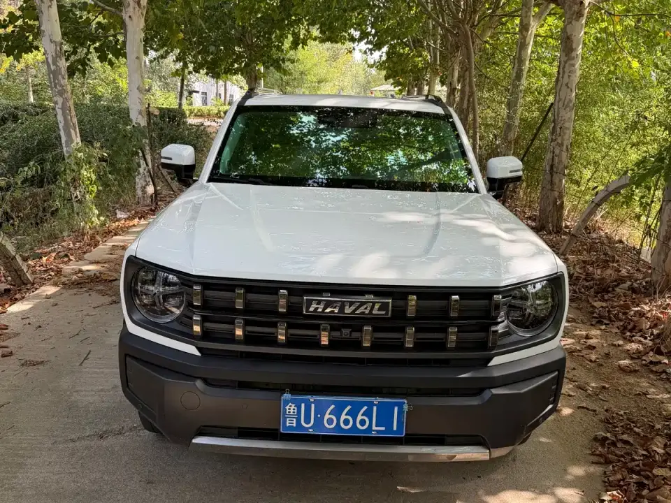 Haval Cool Dog 1.5T DCT 4WD Adventure Edition 2022