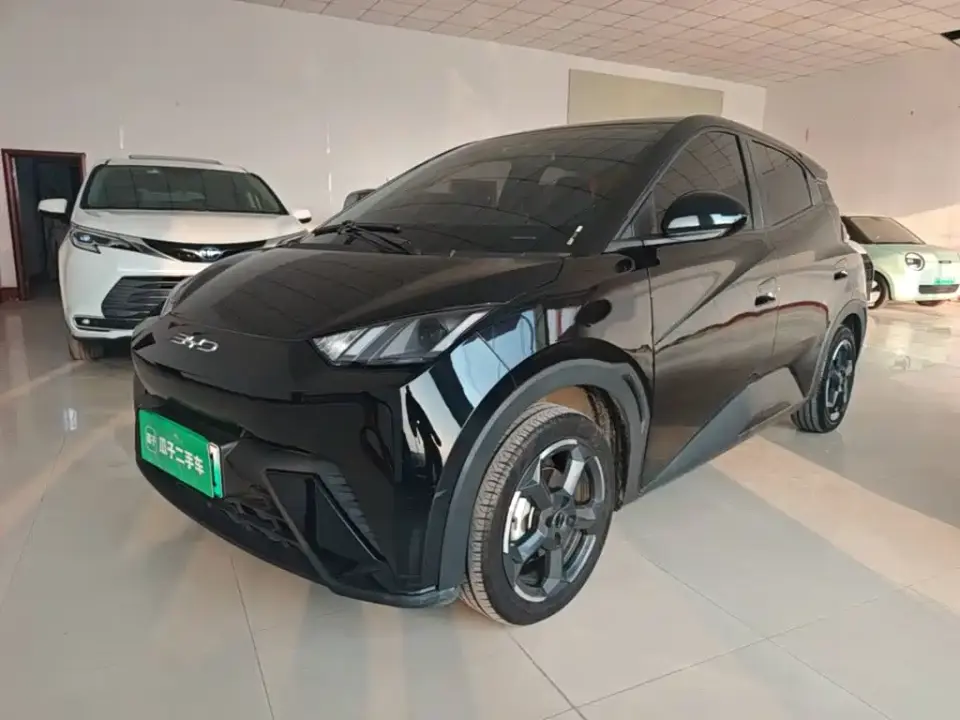 BYD Seagull Freedom Edition 2024