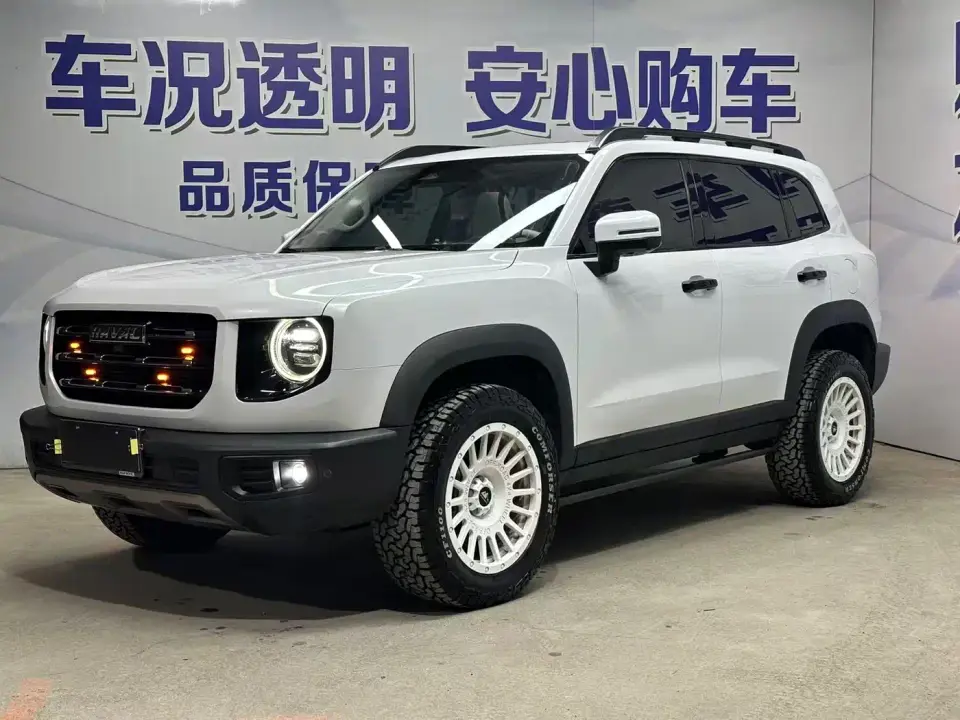 Haval Big Dog 1.5T DCT 2WD Border Collie - Wangcai Edition 2021