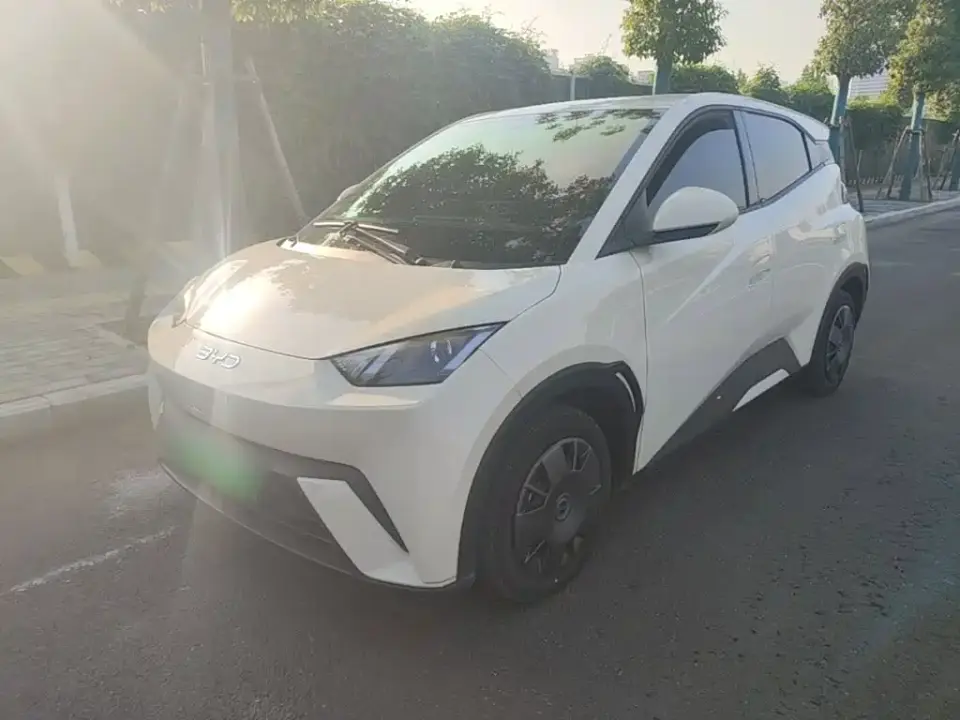 BYD Seagull Glory Edition 305km Vitality Edition 2024