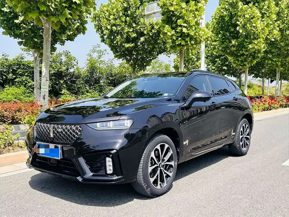 Wey VV7 2.0T Luxury 2019