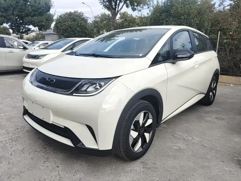 BYD Dolphin 420km Freedom Edition 2026