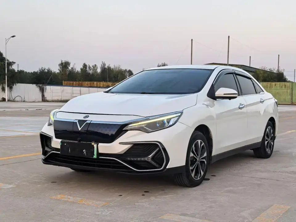 Venucia D60EV Long-Range Premium Edition 2020