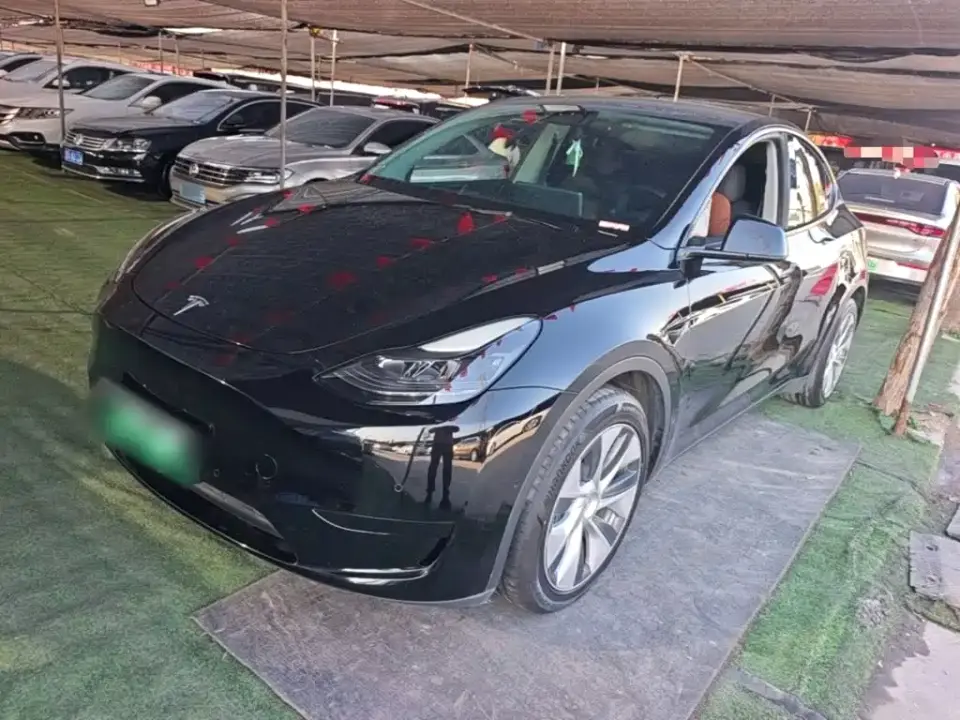 Tesla Model Y Rear-Wheel Drive Version 2022