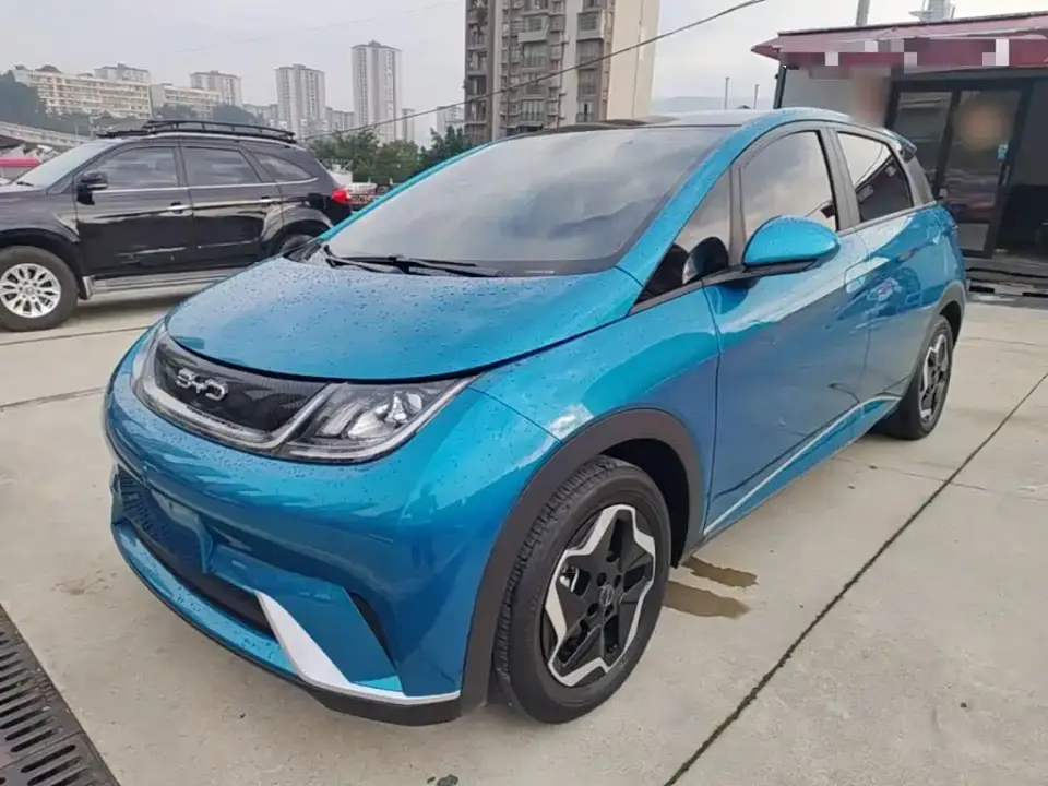 BYD Dolphin Model 405km Fashion Edition 2022