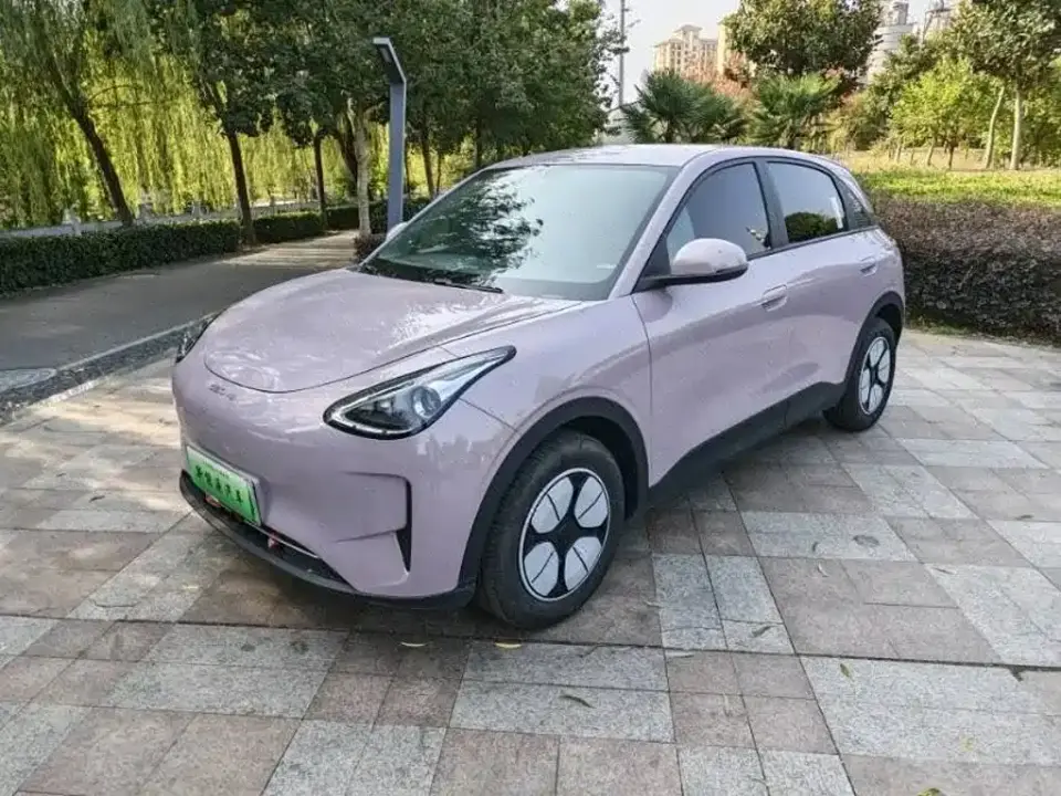 Geely Galaxy Starry Wish 310km Youth Edition 2025