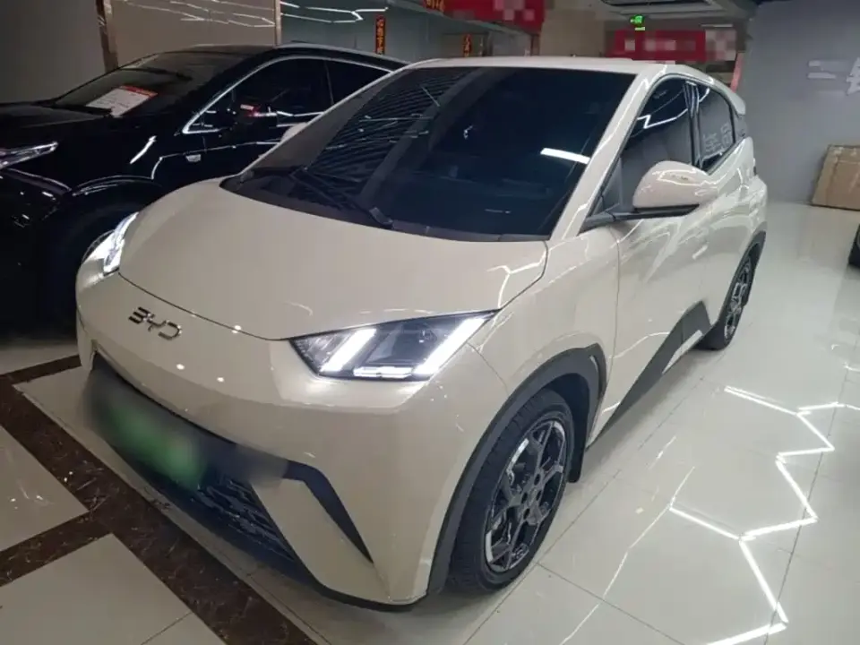 BYD Seagull 305km Freedom 2025