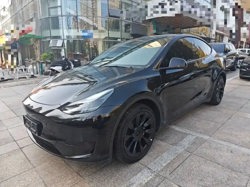 Tesla Model Y Rear-Wheel Drive Version 2022