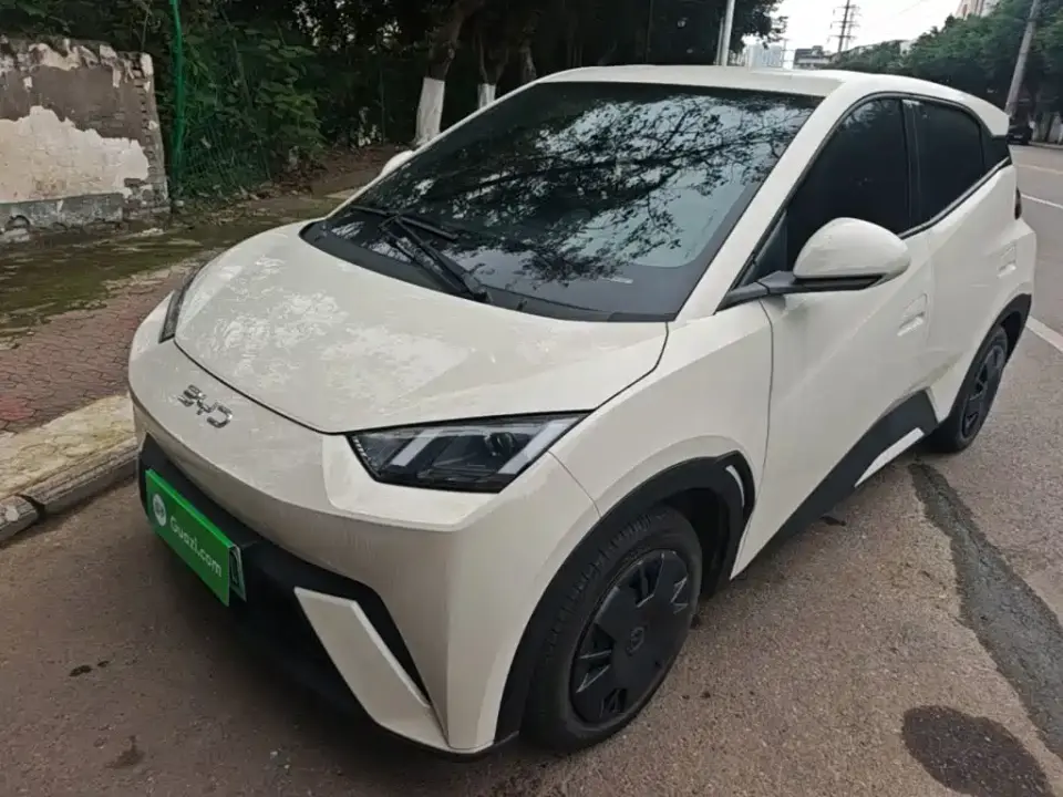 BYD Seagull 305km Vitality 2025