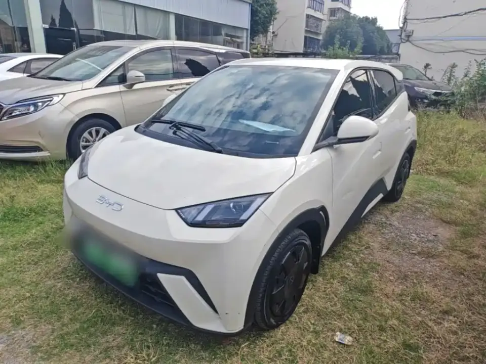 BYD Seagull Glory Edition 305km Vitality Edition 2024