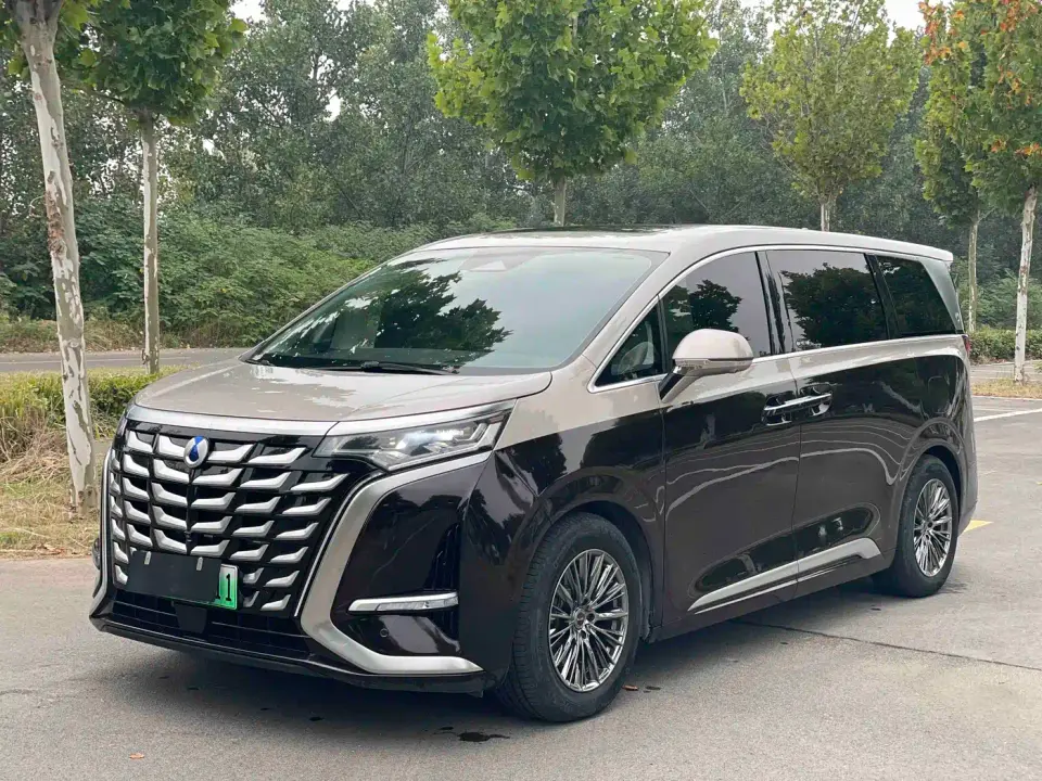 Denza D9 PIONEER 4-Seater Pioneer Edition 2024