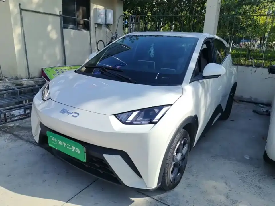 BYD Seagull Glory Edition 305km Freedom Edition 2024