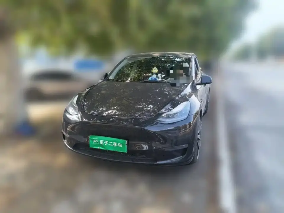 Tesla Model Y Standard Range Rear-Wheel Drive 2021