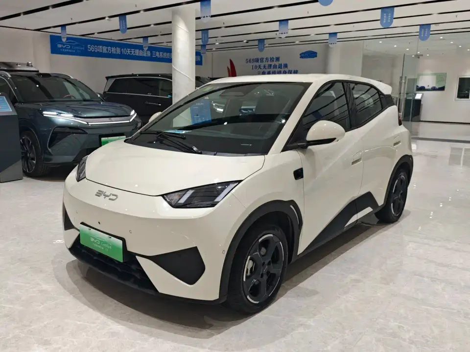 BYD Seagull Smart Drive Edition 305km Freedom Version 2025