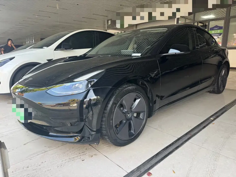 Tesla Model 3 Model Rear-Wheel Drive Version 2022
