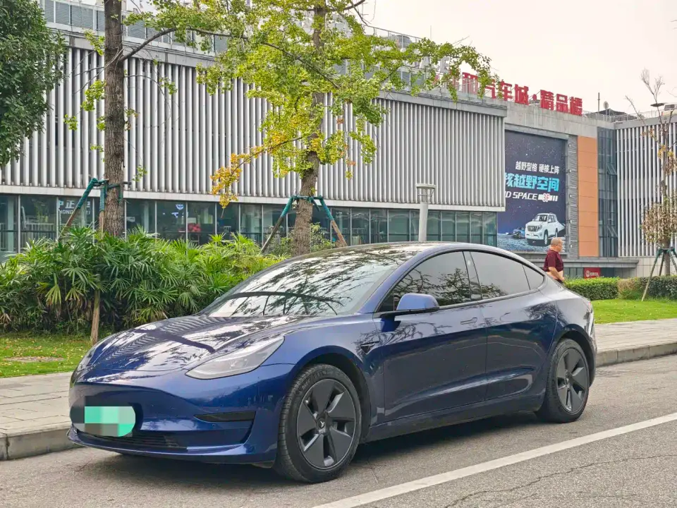 Tesla Model 3 Model Rear-Wheel Drive Version 2022