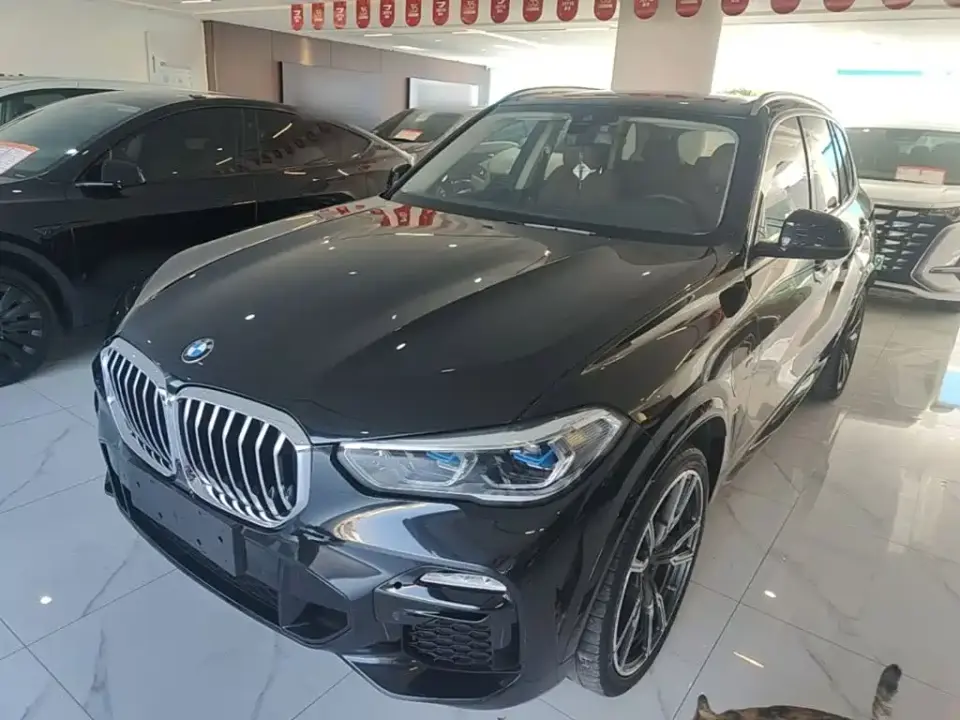 BMW X5 New Energy(Imported) xDrive45e M Sport Package 2020