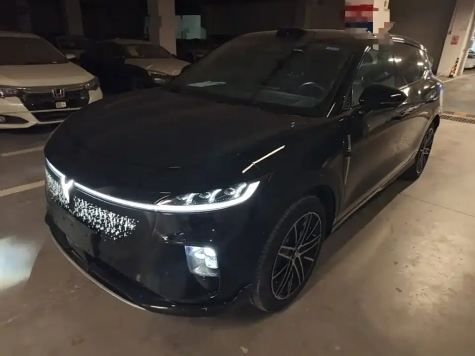 Voyah Auto Voyah Zhiyin Base 2025