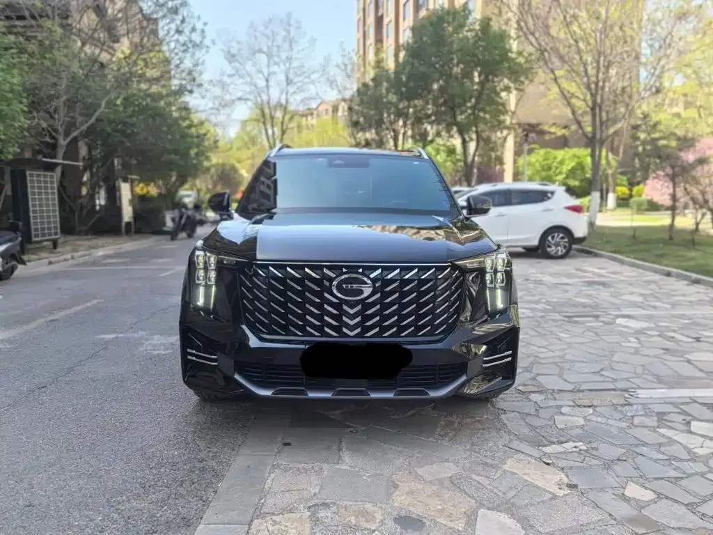 GAC Trumpchi GS8 Navigator Series 2.0TGDI 4WD Luxury Smart Connect Edition 2024 — фото 2