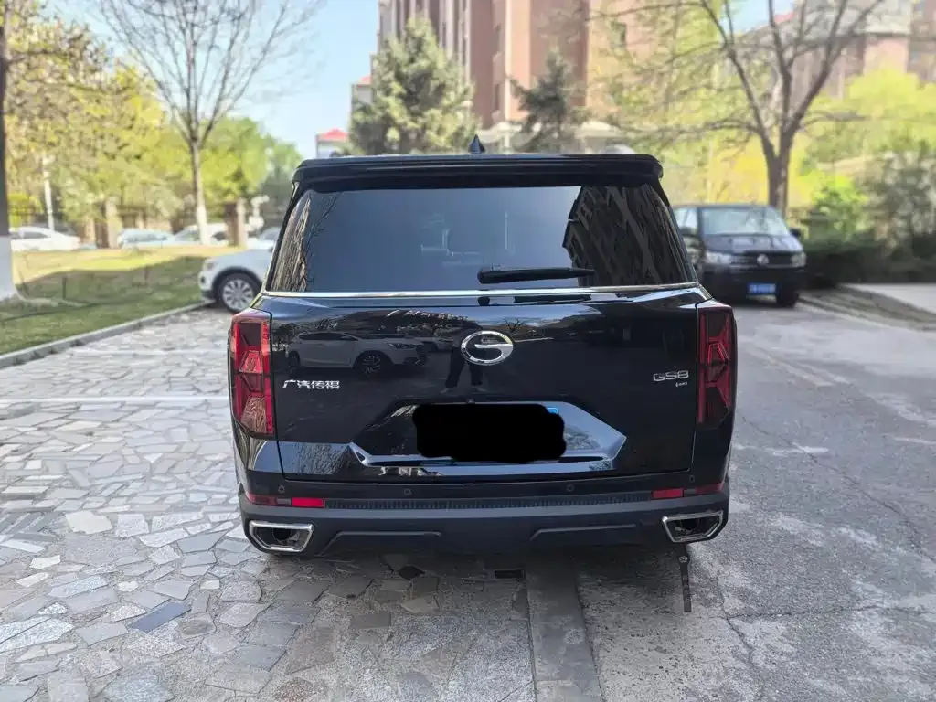 GAC Trumpchi GS8 Navigator Series 2.0TGDI 4WD Luxury Smart Connect Edition 2024 — фото 3
