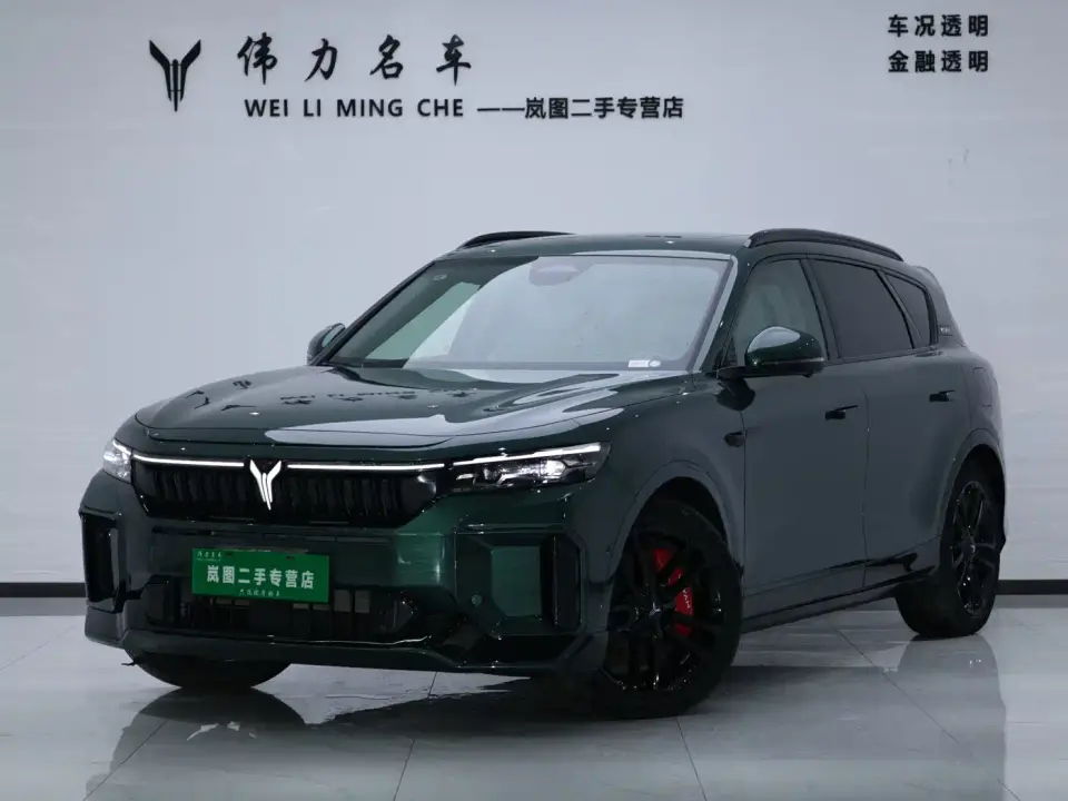 Voyah Auto VOYAH FREE 318 318km RWD Touring Edition 2024