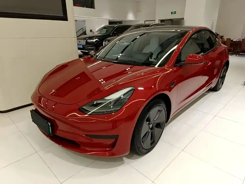 Tesla Model 3 Standard Range Rear-Wheel Drive Upgrade 3D6 2021