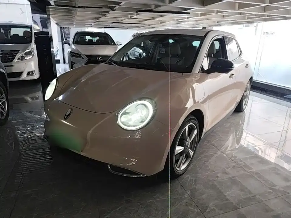 ORA Good Cat 400km Standard Range Venus Edition (LFP) 2021