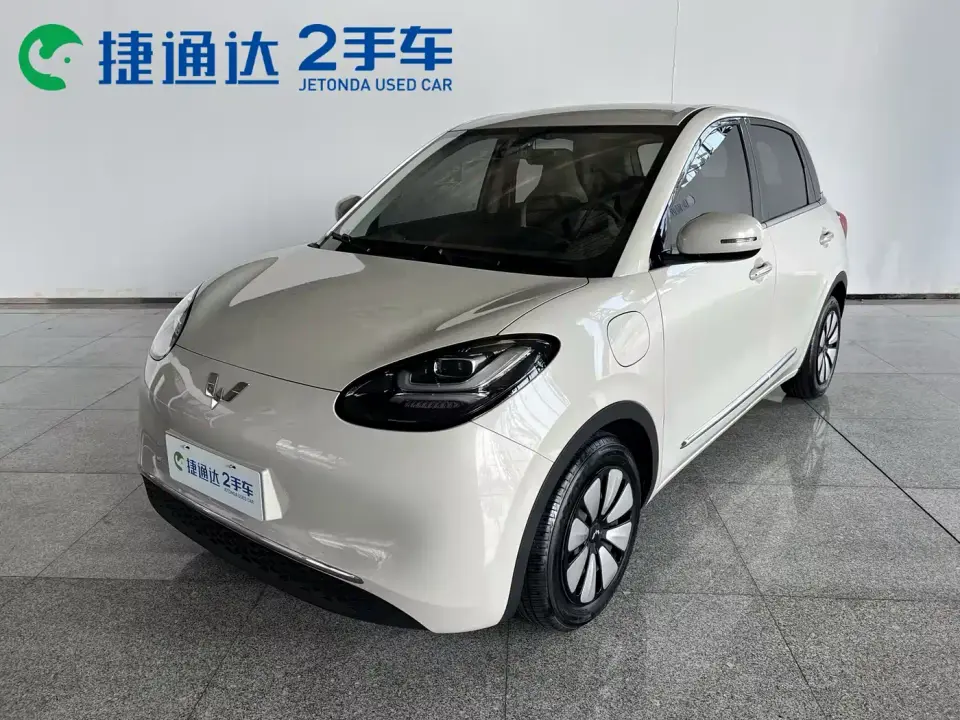 Wuling Motors Wuling Bingo 333km Comfort Edition 2024