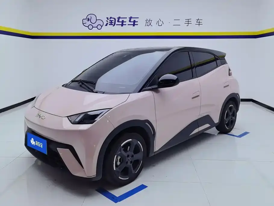 BYD Seagull Glory Edition 405km Soaring Edition 2024