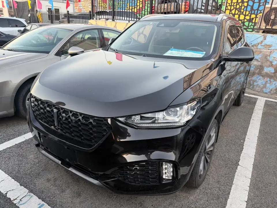Wey VV6 2.0T 2WD Super Luxury China V 2019