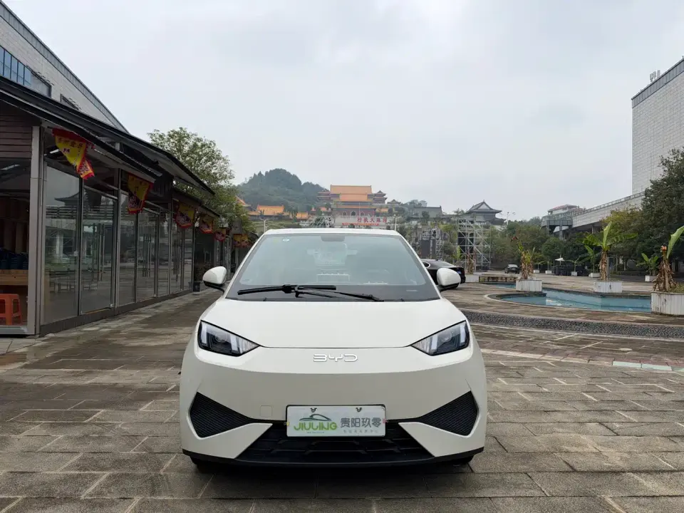 BYD Seagull Smart Drive Edition 305km Vitality Version 2025
