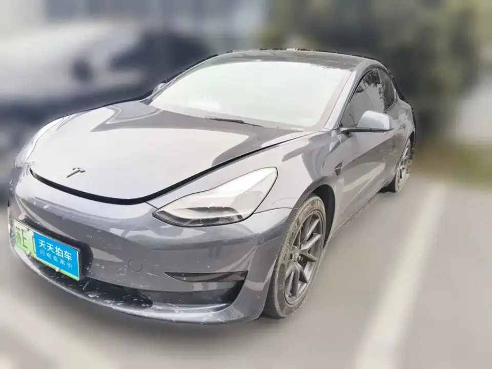 Tesla Model 3 Standard Range Rear-Wheel Drive Upgrade 3D6 2021