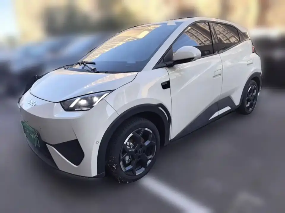 BYD Seagull Smart Drive Edition 305km Freedom Version 2025